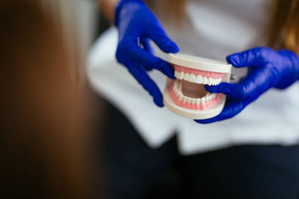 Best Dental Exams and Cleanings  in New Franklin, OH